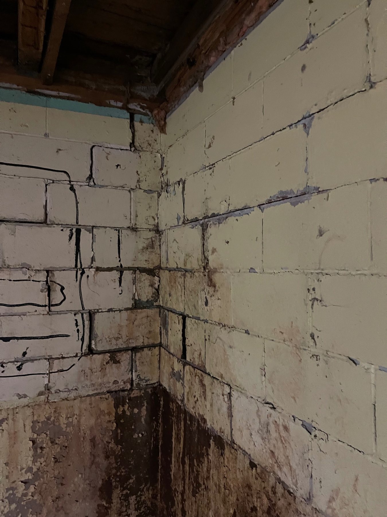 Moisture staining on the interior face of a masonry basement wall in PEI
